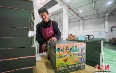 ���ݺ��¼���Զ�����۰Ĵ�����