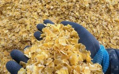 ����ũ��ѹƬ���׽�����Ŀ������Բ���ɹ�