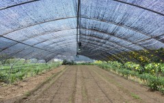 2025�궬���߲���������ָ�����