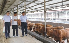 激活沉睡资产 释放乡村活力