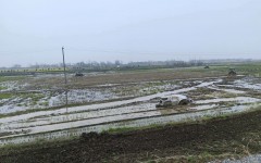 �ǻ�ũ���۳Ҿ��� ���������ܳ������ٶȡ�