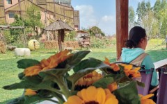 �������龭�á�����塿��һ���þӣ��С�ȥ���