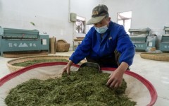 ������ɽ�ɲ�æ���Ϸ���ǰ�迪������