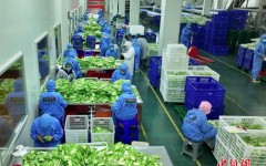 �������۽�11��Ķ�����������ʡ�����