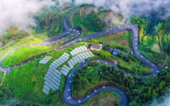 ������ʢ����·ͨ�� �������