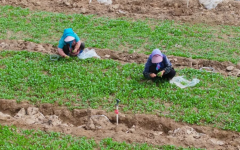 ���ɹŰ����׶����������߲ˡ��ֳ�����·