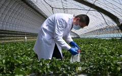 �½���³ľ�룺ũ�����Ӳ���ػ����ա�����ϵİ�ȫ��