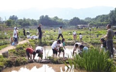 我在京郊“包”了一块地