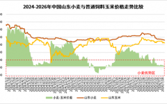 新季小麦跌幅超预期 两大变量决定反弹高度